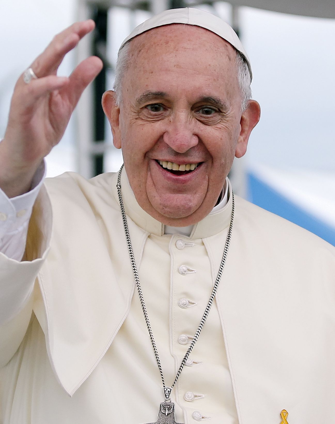 Greening Justice: Can Disparate Actors Heed Pope Francis’s Call for Unity?