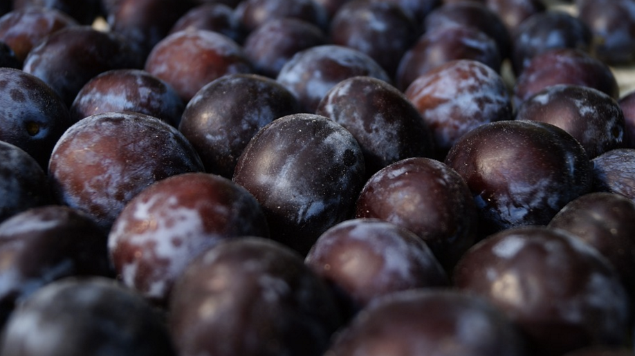 Dark Fruit: A Cultural and Personal History of the Plum