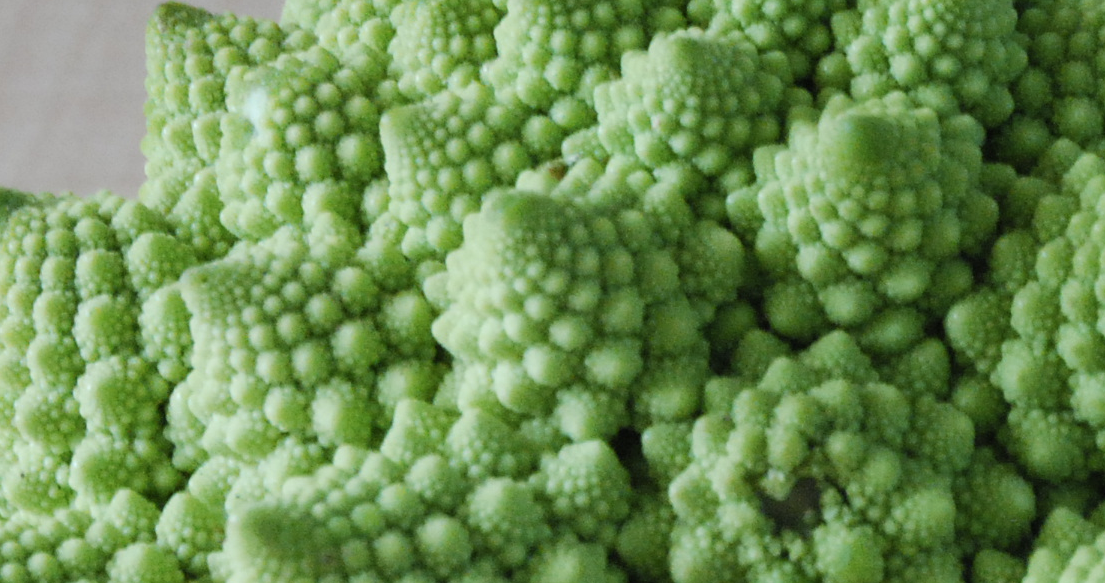 The Divine Power of the Cauliflower: An Interview with Nicola Barker