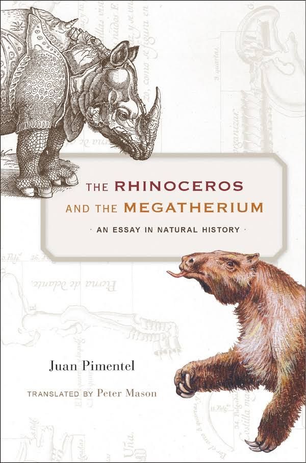 Forging Nature: On “The Rhinoceros and the Megatherium”