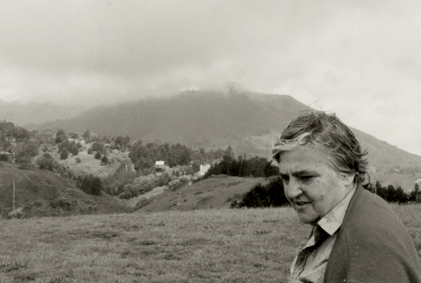 Beautiful Plurality: A Conversation About the Etel Adnan Poetry Prize