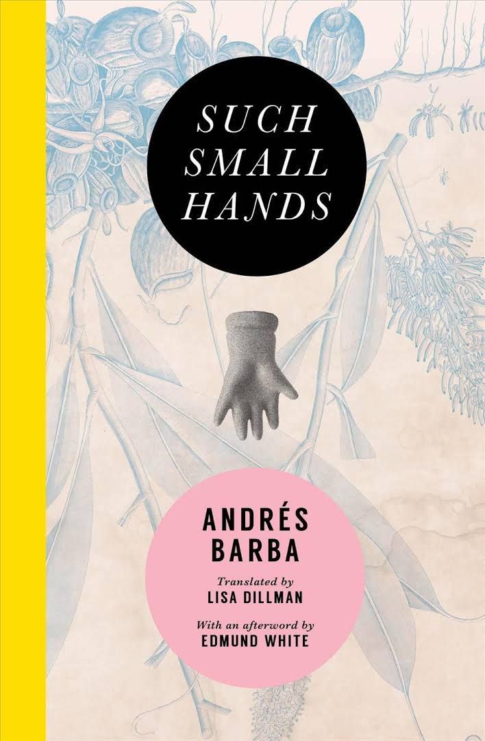 Mortifying Miniatures: On Andrés Barba’s “Such Small Hands”