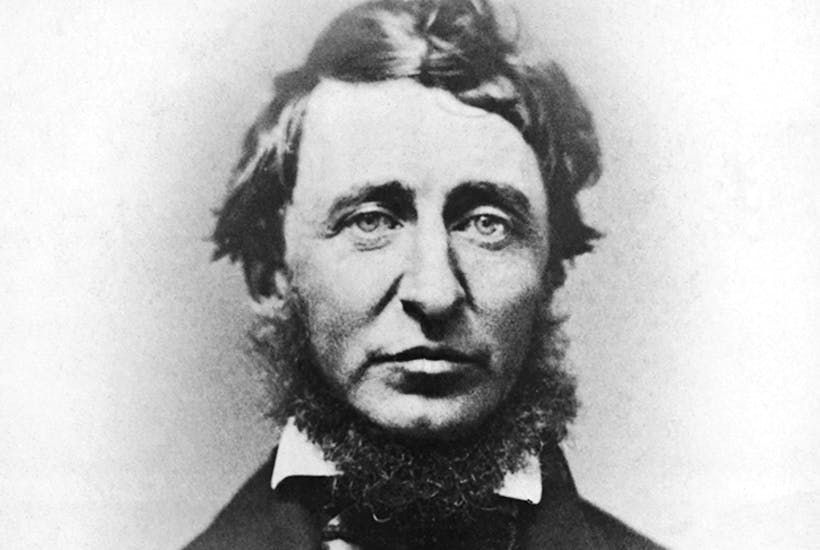 Is Henry David Thoreau a Philosopher, Too? Andrea Nightingale Votes Yes.
