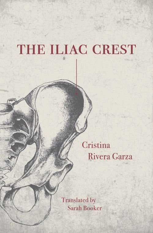 Dissolving Identities: On Cristina Rivera Garza’s “The Iliac Crest”