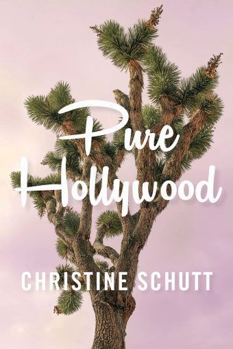 The Crass Class in Christine Schutt’s “Pure Hollywood”