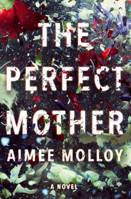 Aimee Molloy’s Maternal Horror