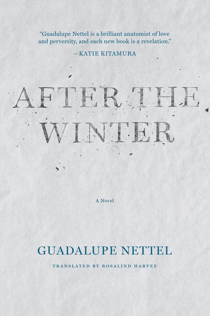 The Many Lives and Deaths of the Body in Guadalupe Nettel’s “After the Winter”