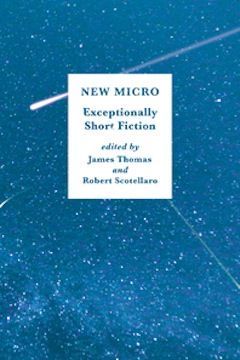 The Storytelling Sorcery of Super Short Fiction in “New Micro”