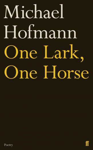 Singing in Anywheresville: On Michael Hofmann’s “One Lark, One Horse”