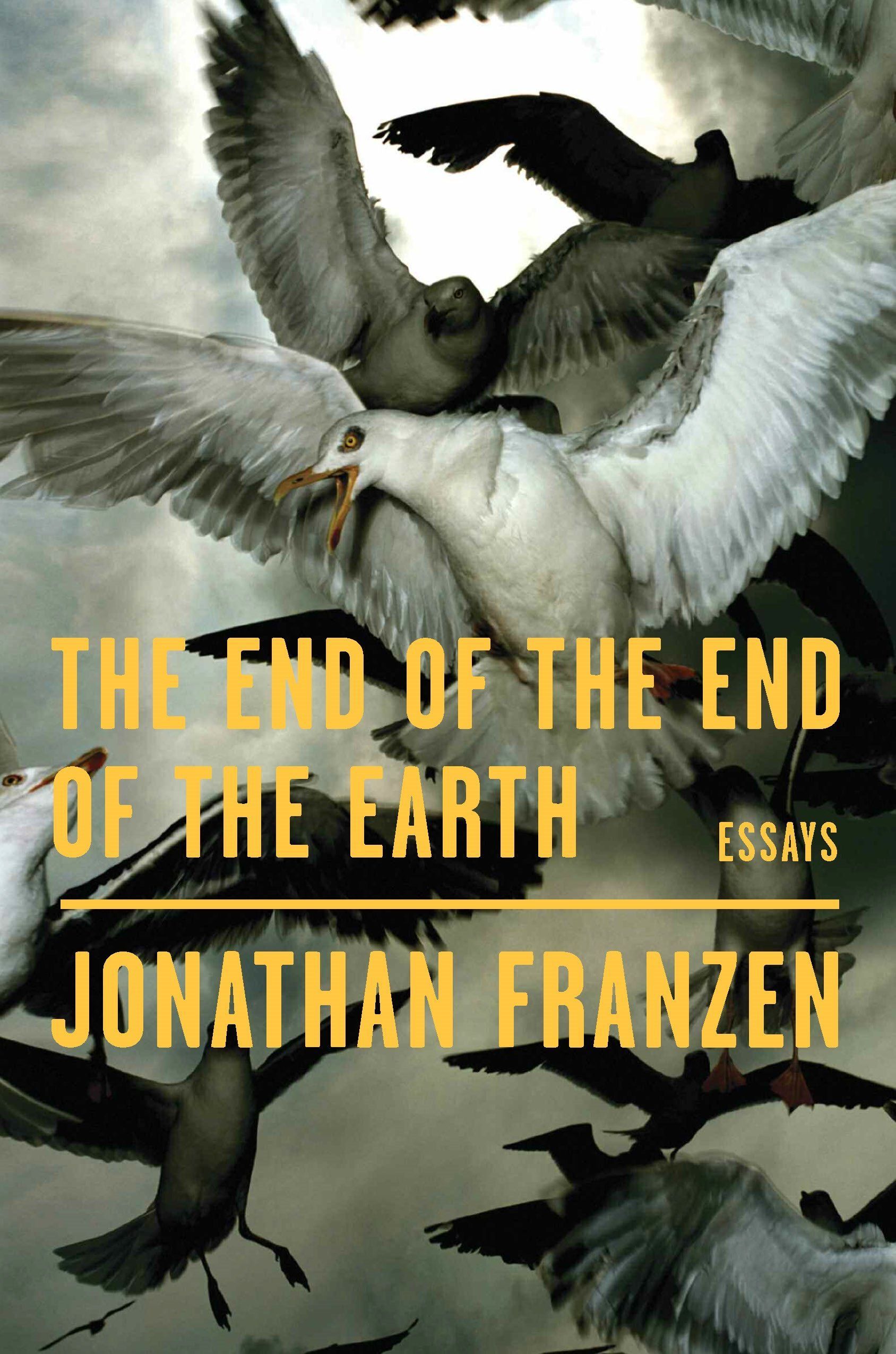 Bird’s Eye View: Jonathan Franzen Looks Down on Climate Activism