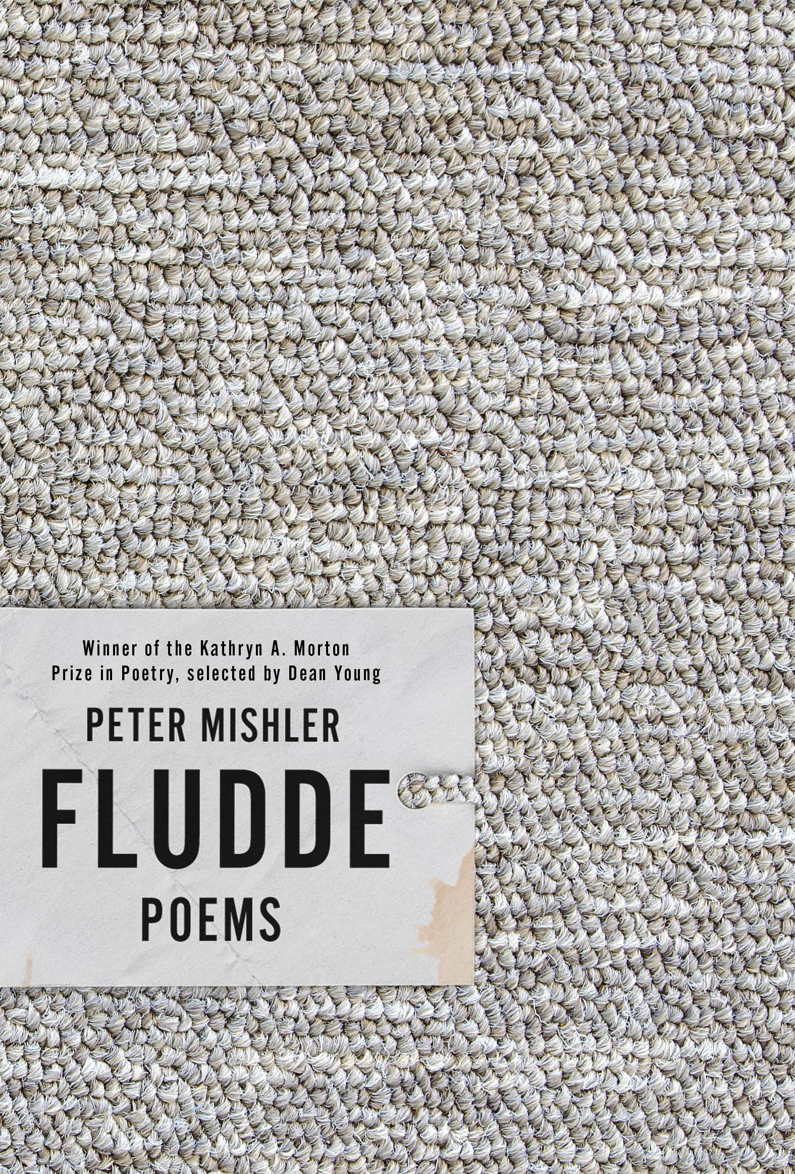 “The History of Your Private Life”: On Peter Mishler’s “Fludde”
