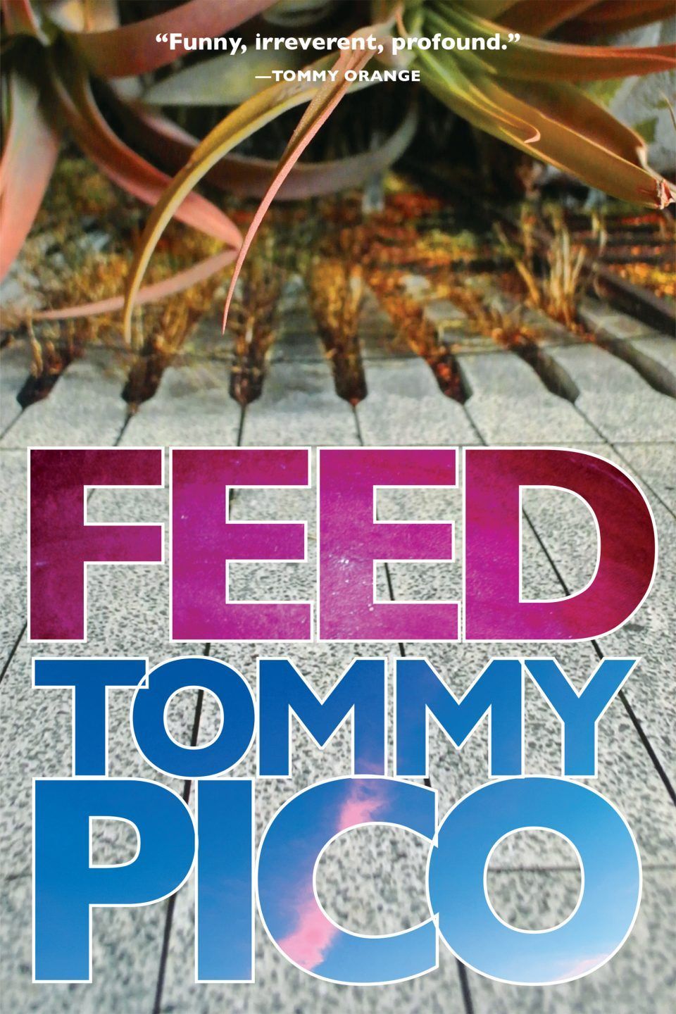 “Let Go”: On Tommy Pico’s “Feed”