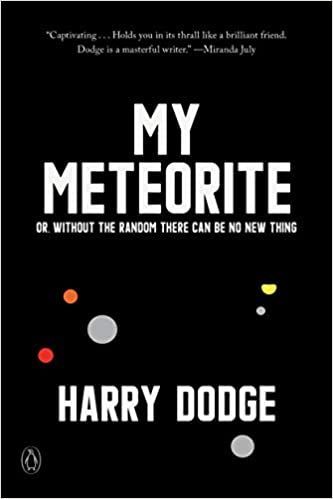 Literary LA: Our Meteoric Quarantine with Harry Dodge