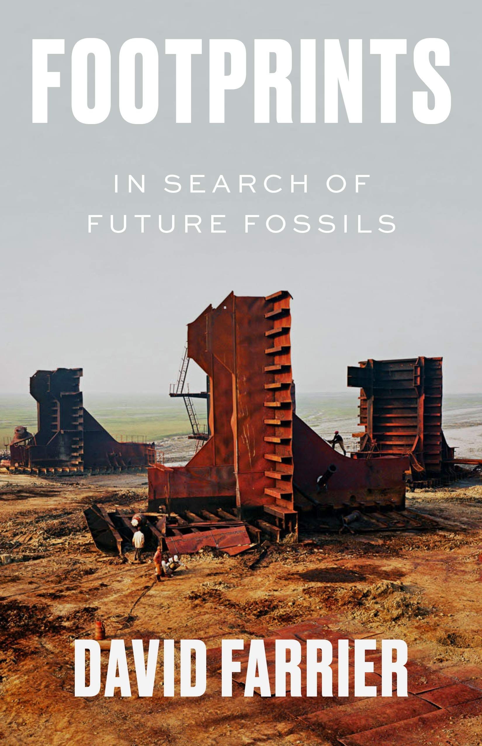 Fossils Waiting to Be: On Stoicism in the Anthropocene