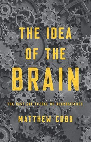 Peak Brain: The Metaphors of Neuroscience