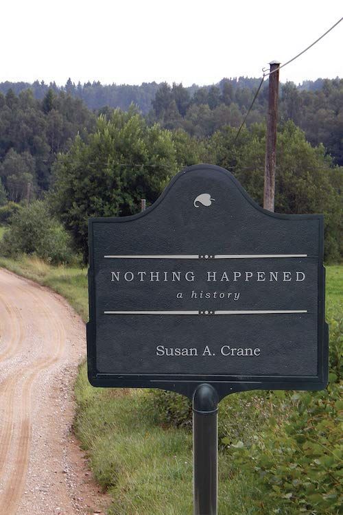 A Look at Nothing: On Susan A. Crane’s “Nothing Happened: A History”