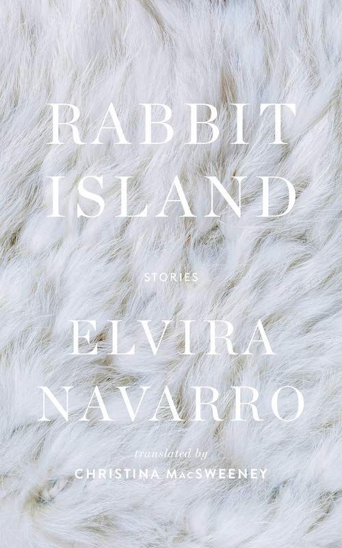 Submersion: The Sensory-Heightened Fiction of Elvira Navarro