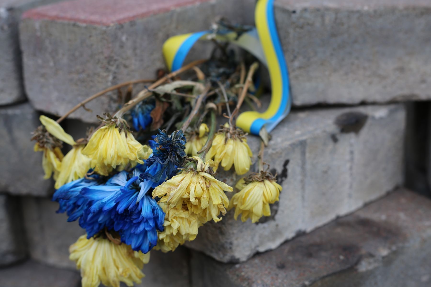 Ukraine at 30, Part I: How to Love Your Homeland Properly