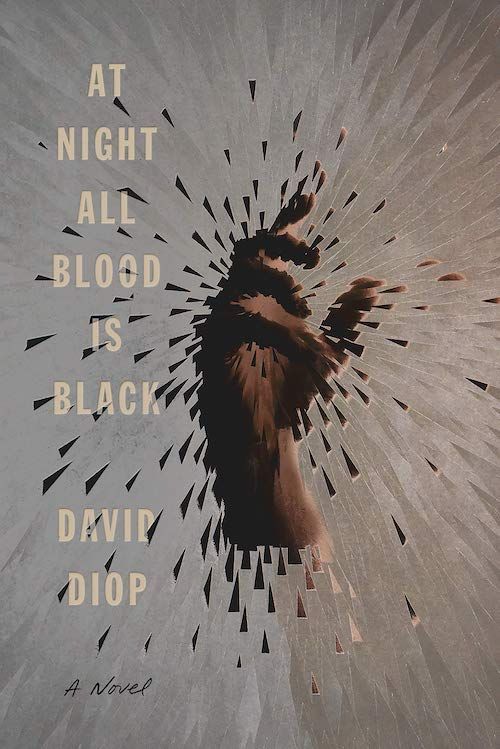A Moral No-Man’s Land: On David Diop’s “At Night All Blood Is Black”