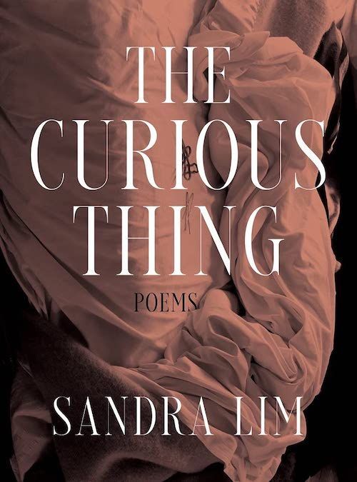 I Am Hot and Tiny, Yet I Wrote “Jane Eyre”: The Feminine Solitude of Sandra Lim’s “The Curious Thing”