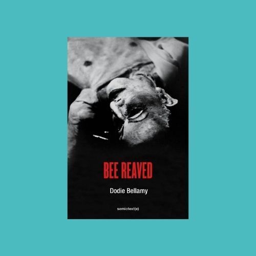 Dodie Bellamy’s “Bee Reaved” and Mia Hansen-Love’s “Bergman Island”