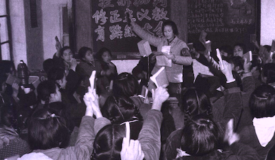 On the Chinese Cultural Revolution: Thought Exercises for the 21st Century
