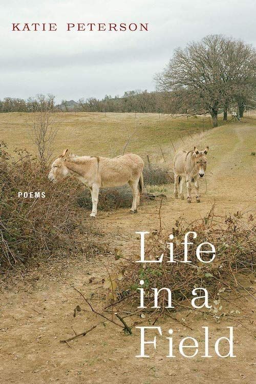 “The Cold Clarity We Need”: On Katie Peterson’s “Life in a Field”