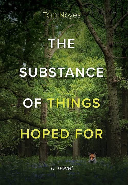 Trouble and Grace: On Tom Noyes’s “The Substance of Things Hoped For”