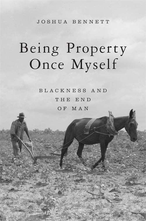 Break the Great Chain of Being: On “Becoming Human” and “Being Property Once Myself”