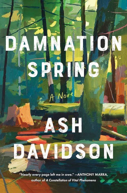Knowing Your Creeks: On Ash Davidson’s “Damnation Spring”