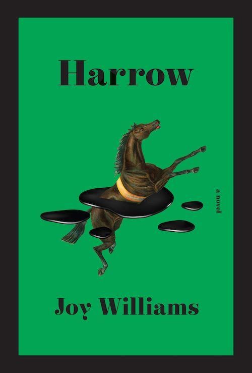 A Millennial’s Purgatory: On Joy Williams’s “Harrow”