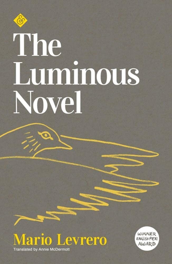 Transfigurations of the Everyday: On Mario Levrero’s “The Luminous Novel”