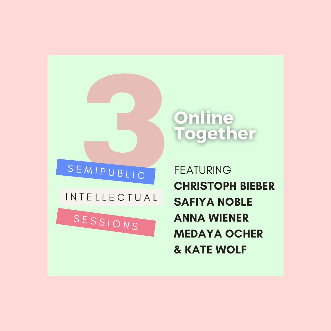 Online Together: A Roundtable Discussion with Christoph Bieber, Safiya Noble, and Anna Wiener