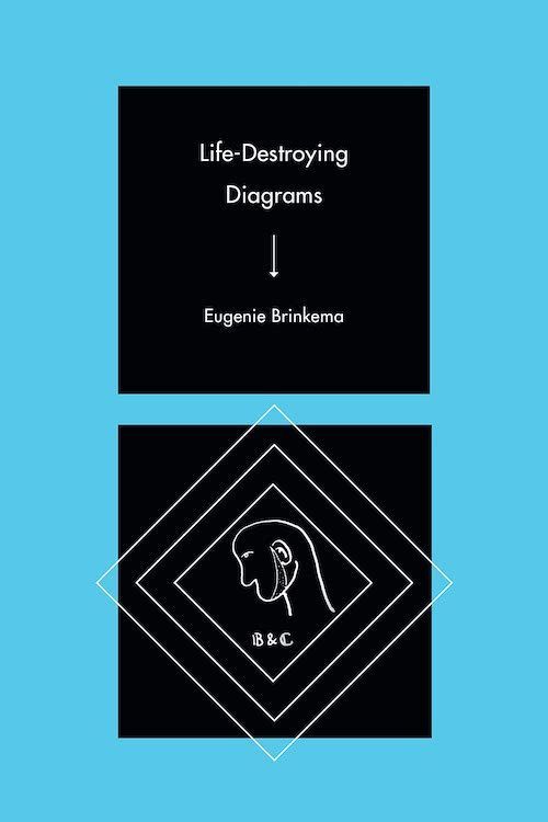 Surviving Destruction: What Keeps Going in Eugenie Brinkema’s “Life-Destroying Diagrams”