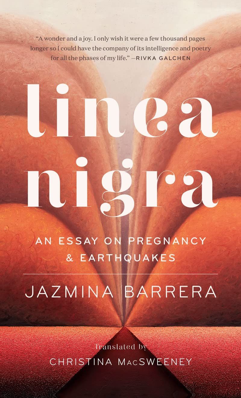 Lines, Lineage, and Light in Jazmina Barrera’s “Linea Nigra”