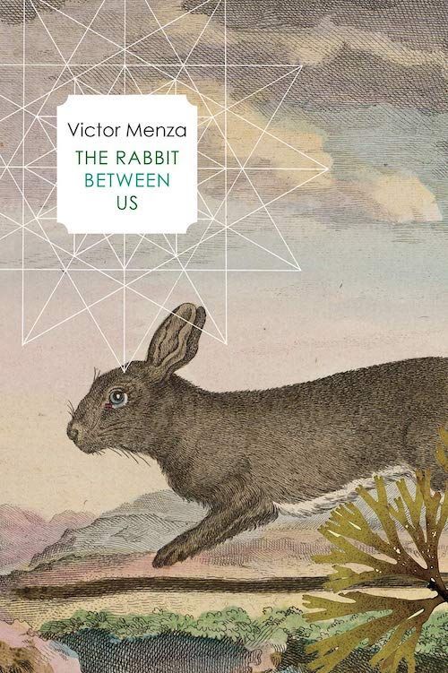 Beyond Talking Bunnies: On Victor Menza’s “The Rabbit Between Us”
