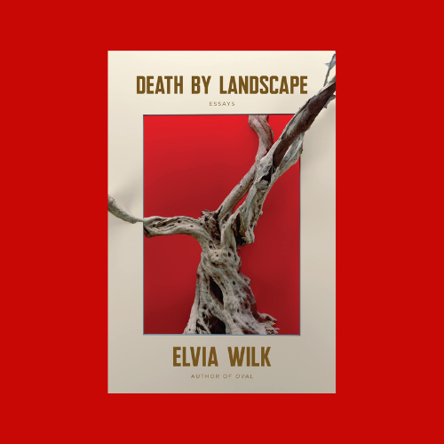 Elvia Wilk’s “Death by Landscape”