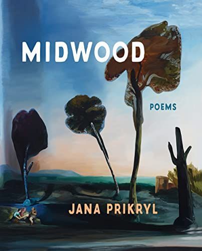 “What Is Emerging”: On Jana Prikryl’s “Midwood”