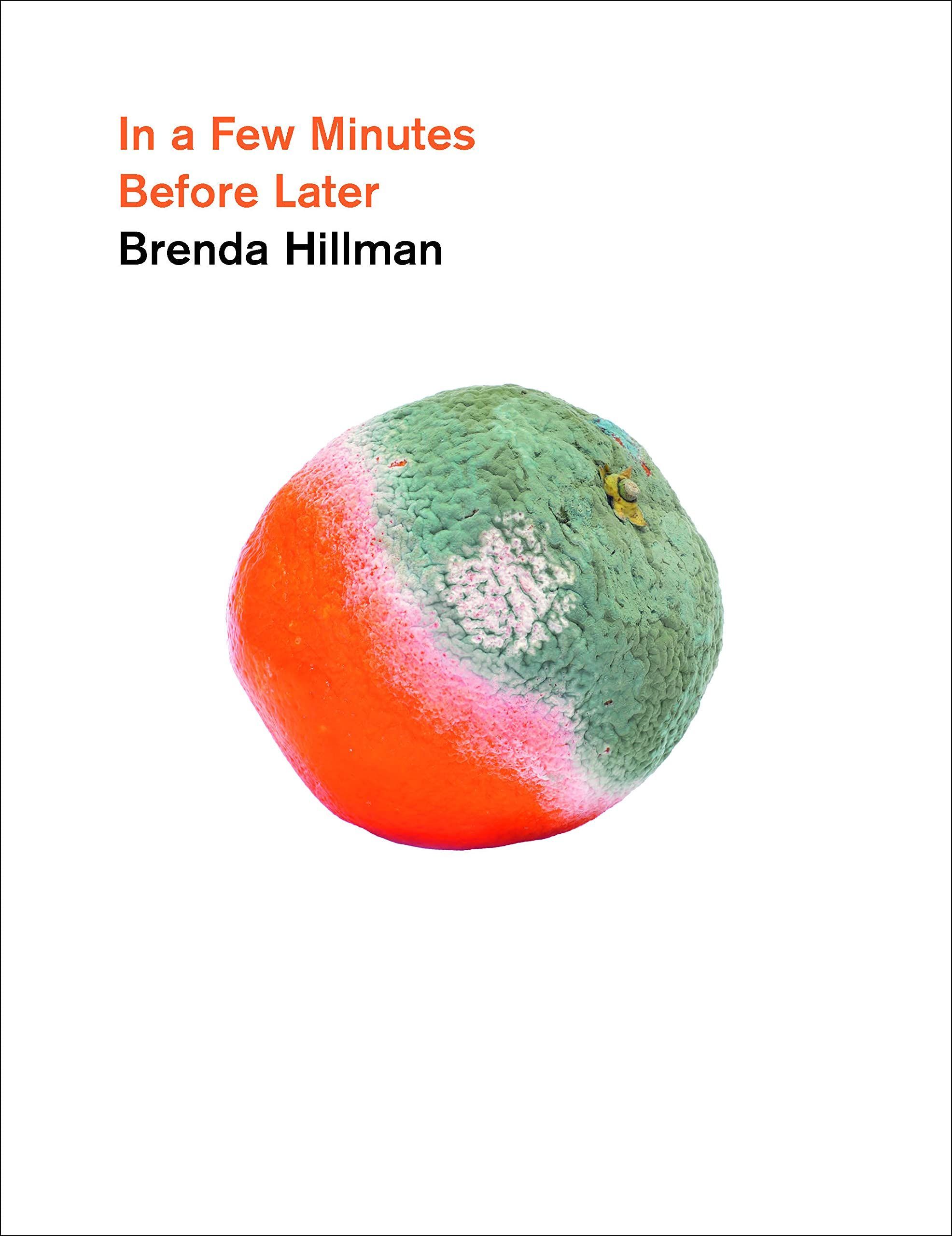 In a Garden of Zeroes: On Brenda Hillman’s “In a Few Minutes Before Later”