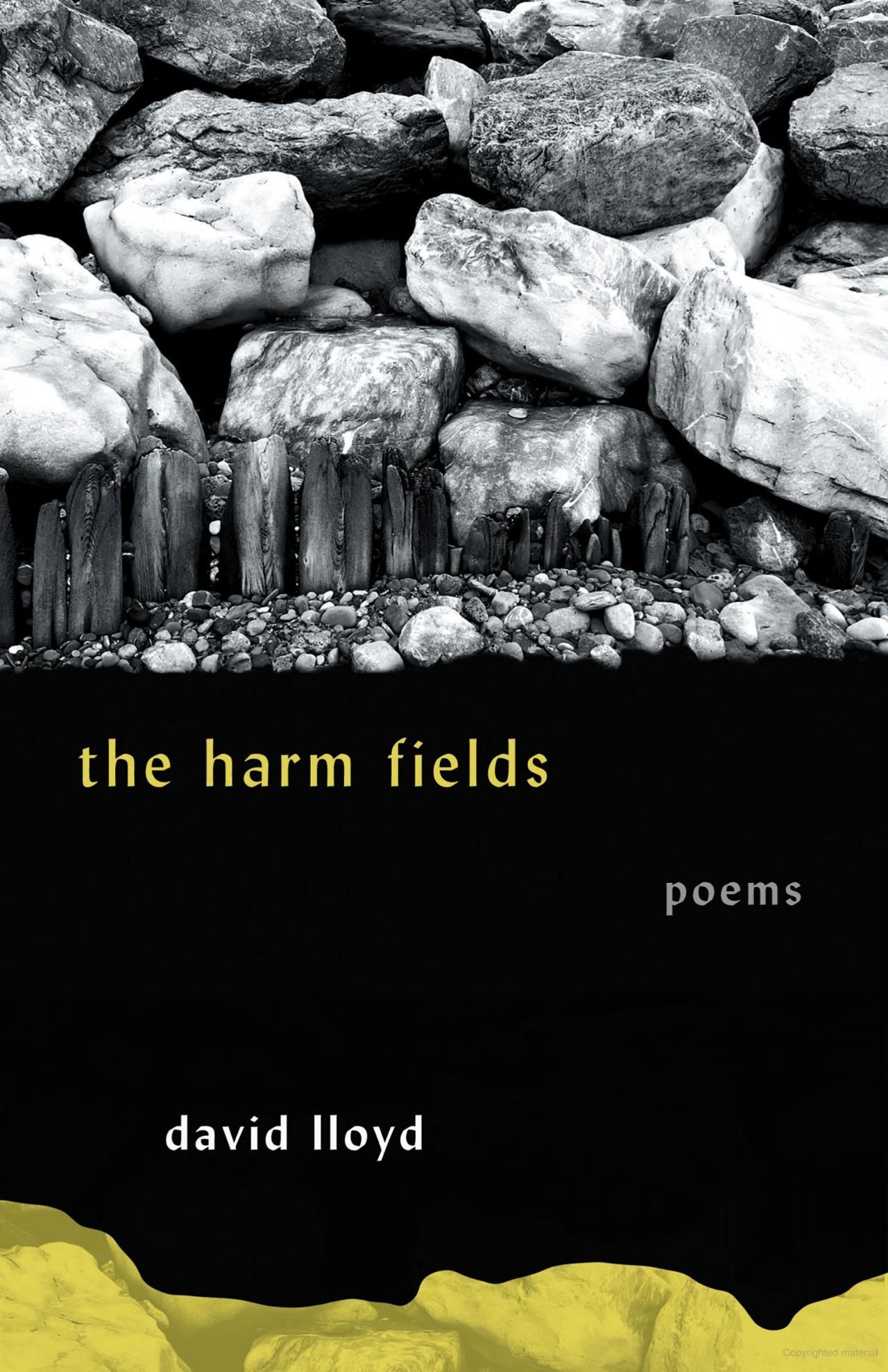 In / Divisible Ink: On David Lloyd’s “The Harm Fields”