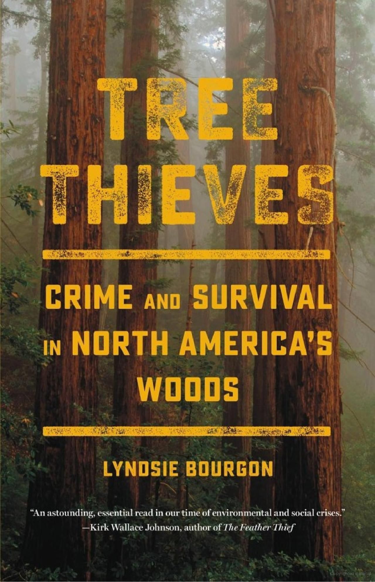 Is Stealing Redwoods Sometimes Okay?: On Lyndsie Bourgon’s “Tree Thieves”