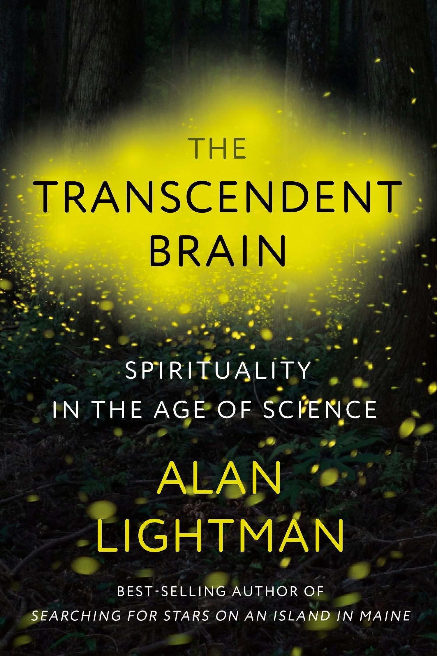 Does a Final Theory Exist?: A Conversation with Alan Lightman