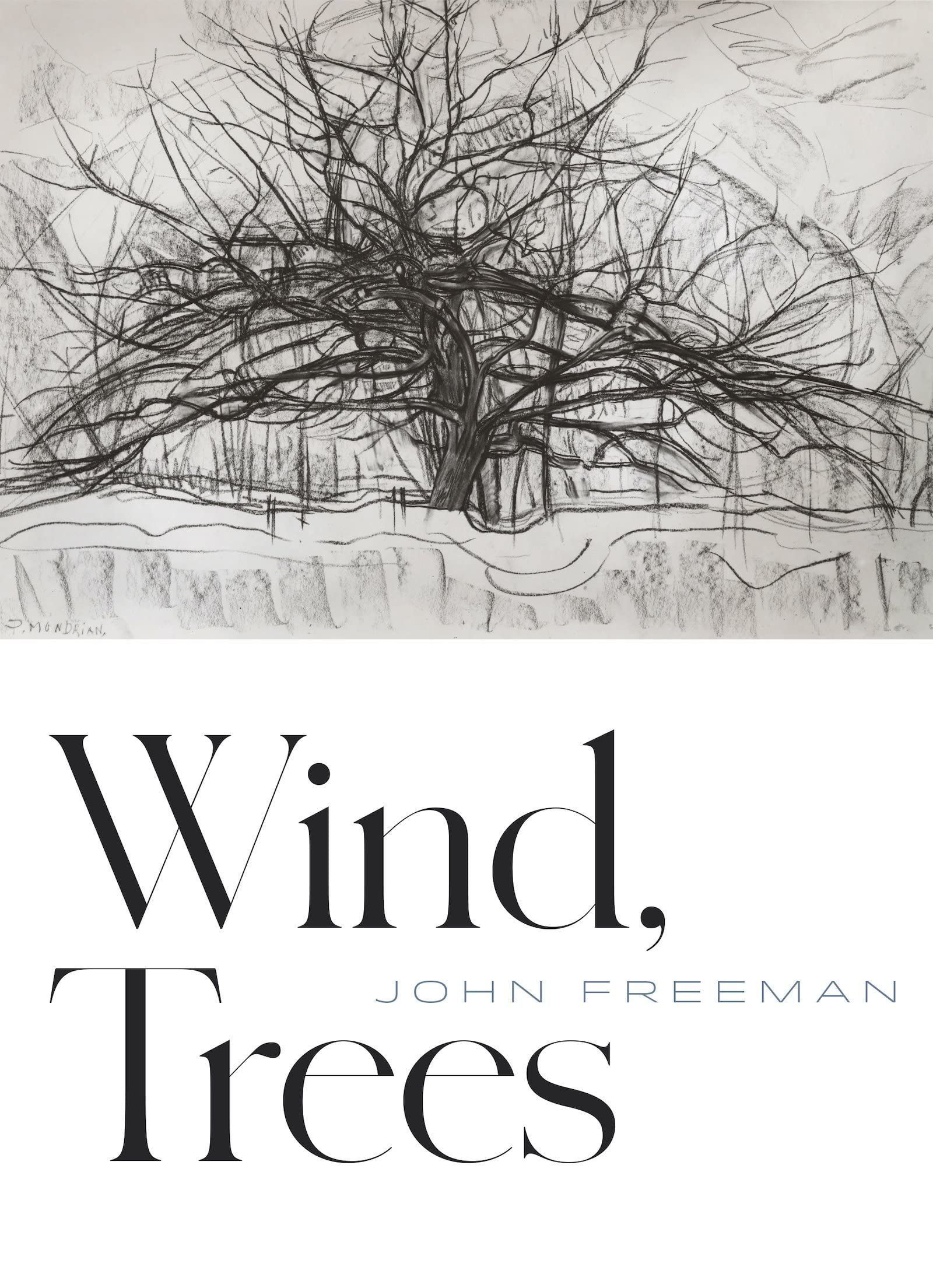 Maybe One Day I Will Learn How to Live: On John Freeman’s “Wind, Trees”
