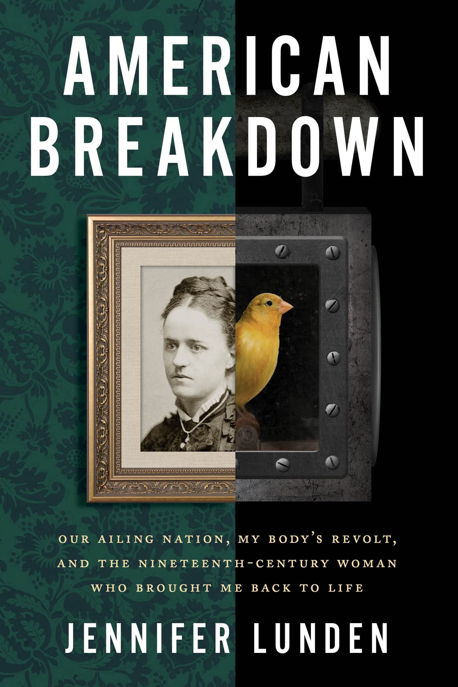 A Serious, Chronic, Complex, and Systemic Disease: On Jennifer Lunden’s “American Breakdown”