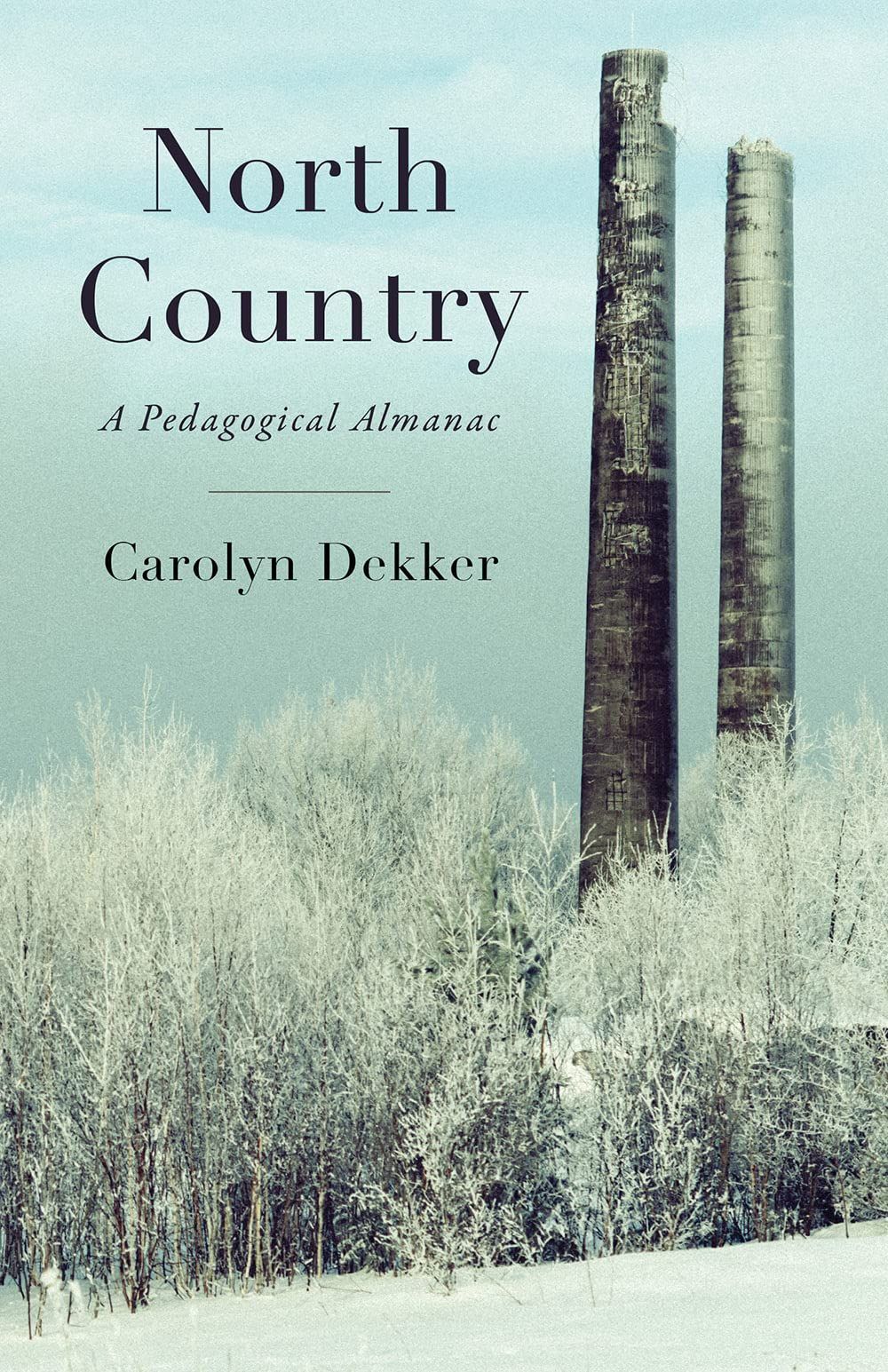 Swan Song for a University: On Carolyn Dekker’s “North Country”