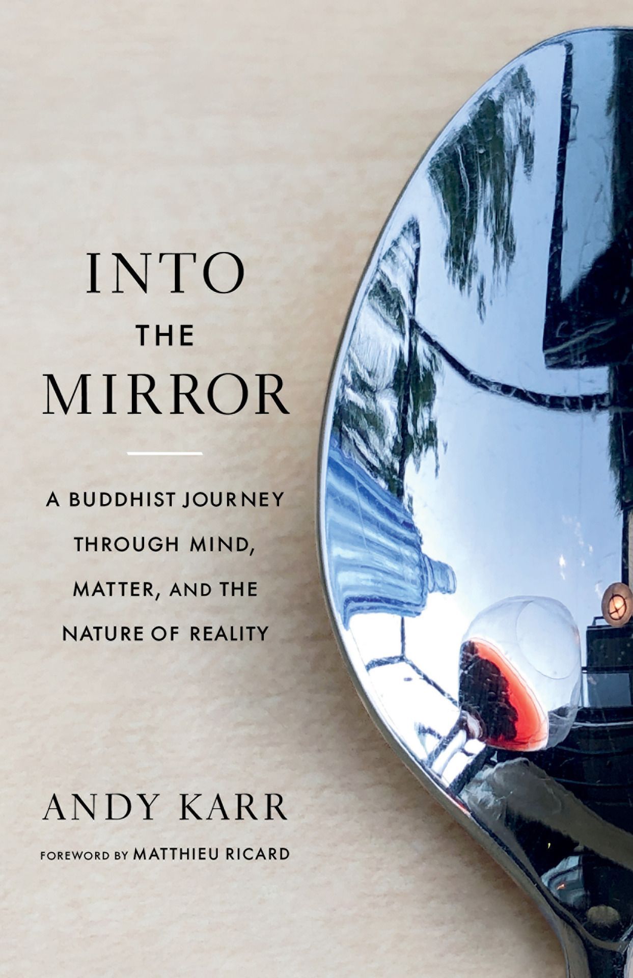 Transcending the Materialistic Illusion: On Andy Karr’s “Into the Mirror”