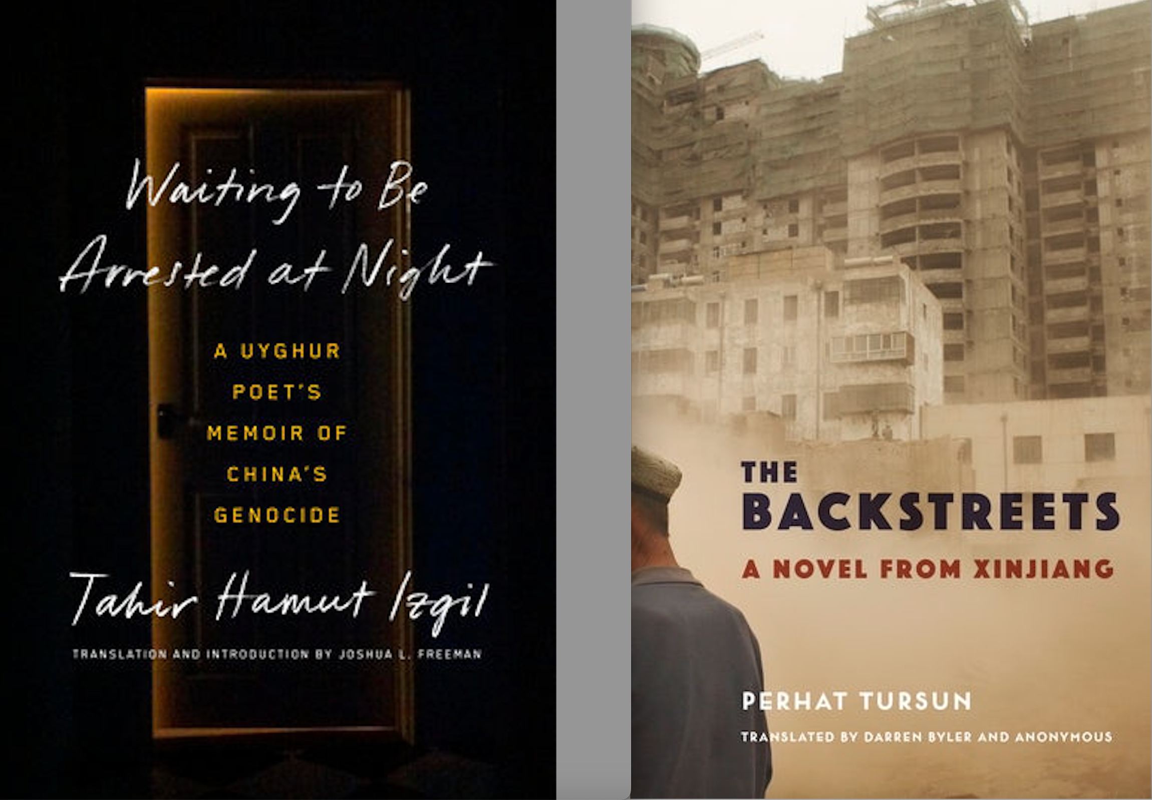Fear and Writing in Xinjiang: On Tahir Hamut Izgil’s “Waiting to Be Arrested at Night” and Perhat Tursun’s “The Backstreets”