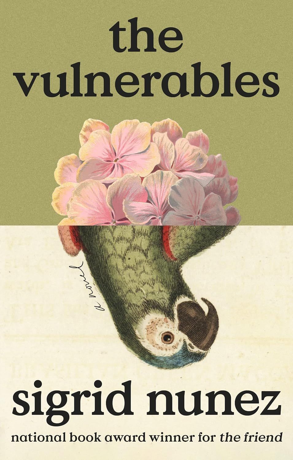 I Must Be Making It All Up: On Sigrid Nunez’s “The Vulnerables”