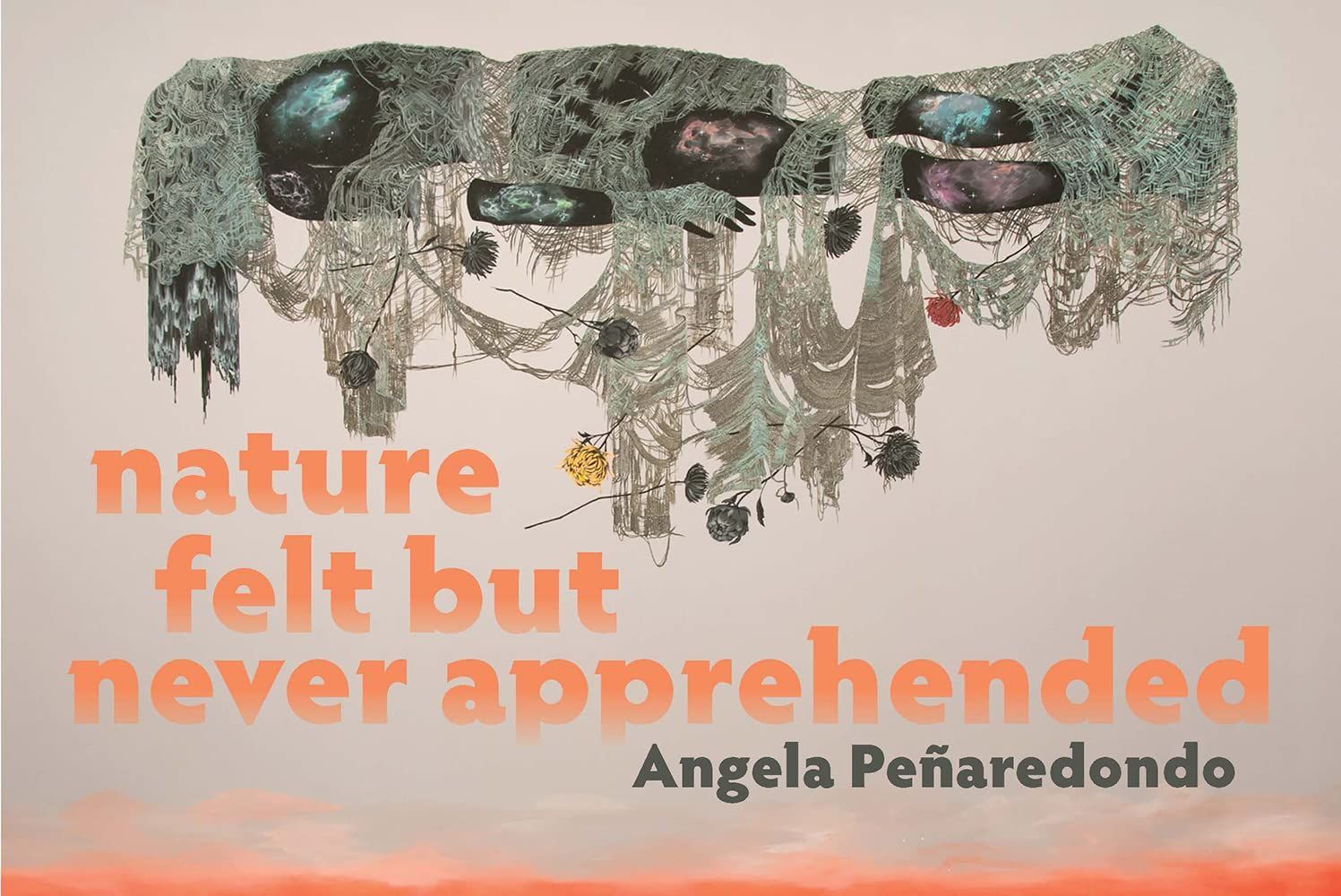 this tender gouge: On Angela Peñaredondo’s “nature felt but never apprehended”