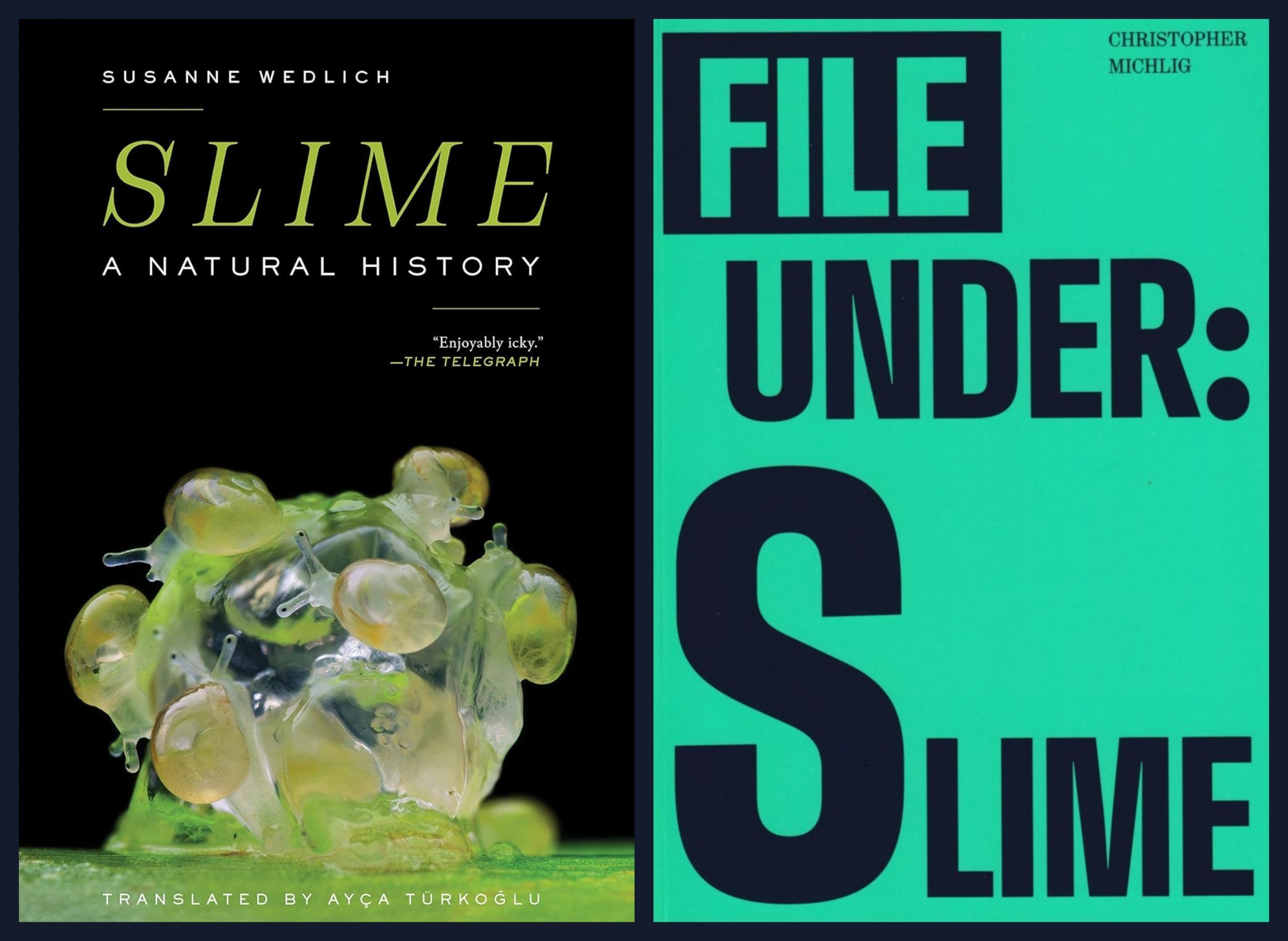 A People’s History of Slime: On Two New Books About Ooze